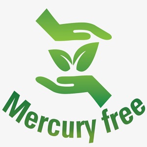 Developing Strategies to Establish Mercury Free Hospitals in Coimbatore